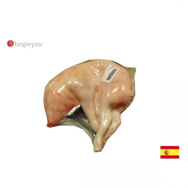 スペイン 仔豚丸