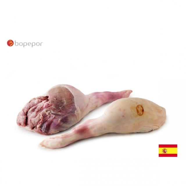 スペイン 仔豚 ボーインレッグ（骨付モモ）