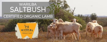 ソルトブッシュ・オーガニックラム”hspace=